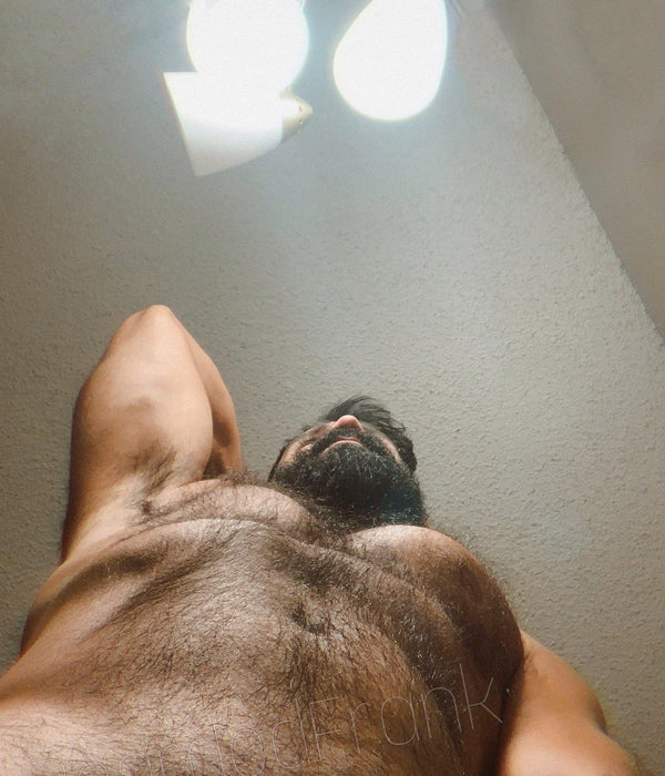 Bearded Frank - findr.fans